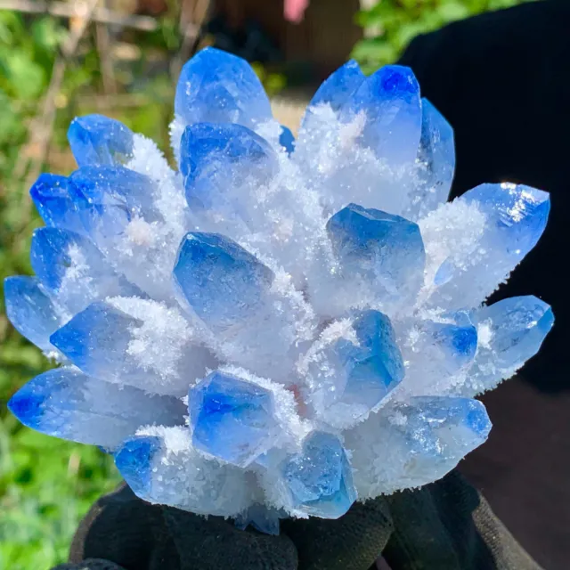 1.58LB  New Find sky blue Phantom Quartz Crystal Cluster Mineral Specimen Healin