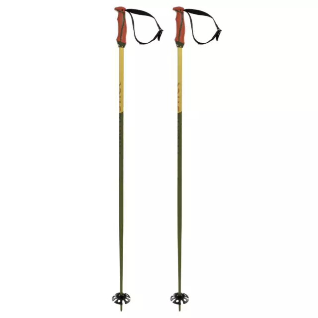 Volkl Phantastick 18mm Ski Poles In Olive Green