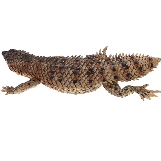Lot De 2 Lézards Simulés En PVC – Jouets Reptiles Pour Enfants – Accessoires Éducatifs Et Farces Halloween