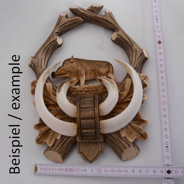 3 Pieza Handgearbeite Tallado Escudo de Trofeo Jabalí Hauer Claro Tintado 3