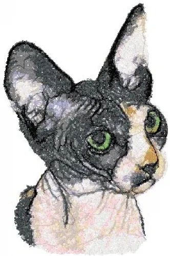 Embroidered Sweatshirt - Sphynx Cat AED16038 Sizes S - XXL