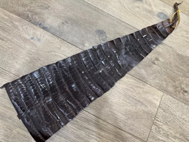 Brown Genuine Alligator Tail Hide Leather Skin Piece Scrap Gator Croc Belly 211