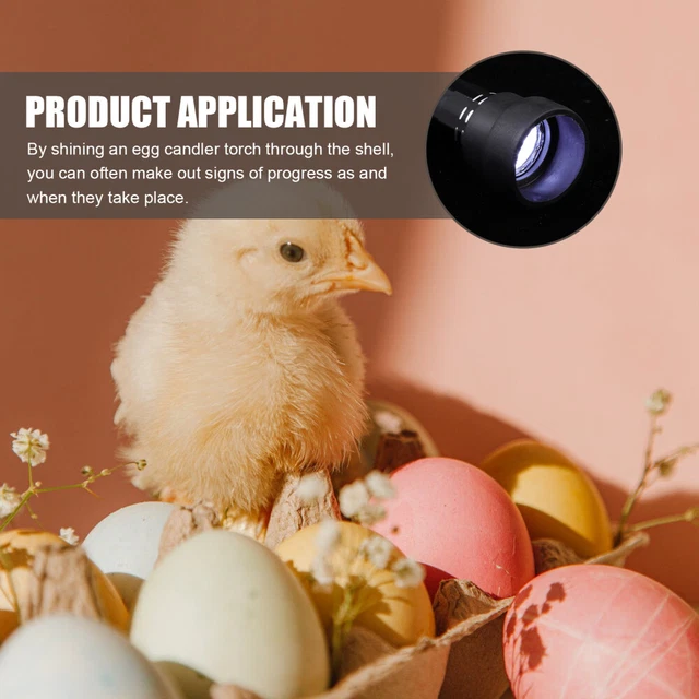 1pc Led Egg Candler Egg Candler Lampe Mirage des oeufs Machine 4
