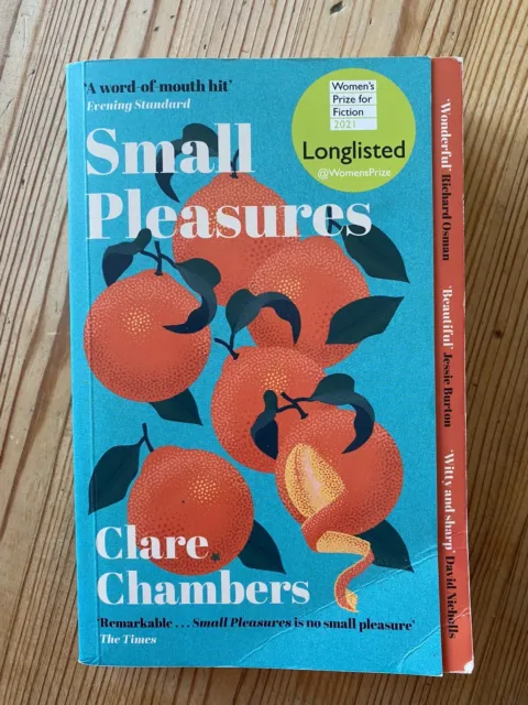 Small Pleasures Longlisted for The Women's Prize by Clare Chambers...