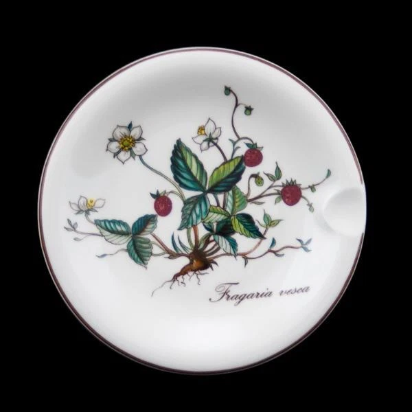 Posacenere - MERCE NUOVA - Botanica - Villeroy & Boch