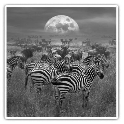 2 x Square Stickers 10 cm - Wild Zebra Herd Africa Safari Animals  #43799