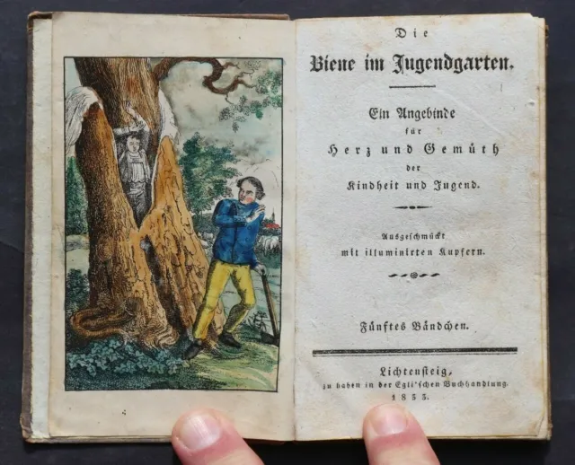 Die Biene Im Jugendgarten,5 Bände,Kolorierte Kupferstiche,Lichtensteig,1832,Rar