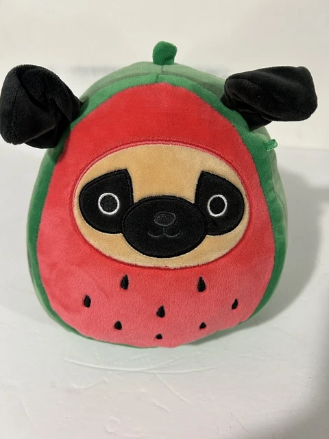 Squishmallows 7.5 - 8" PRINCE in watermelon costume the brown Pug dog