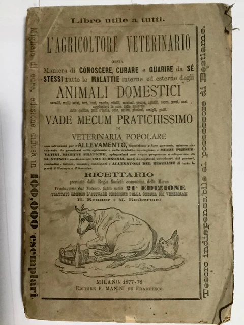 Conoscere, Curare e Guarire Da Se’ Stessi Le Malattie Degli Animali Domestici