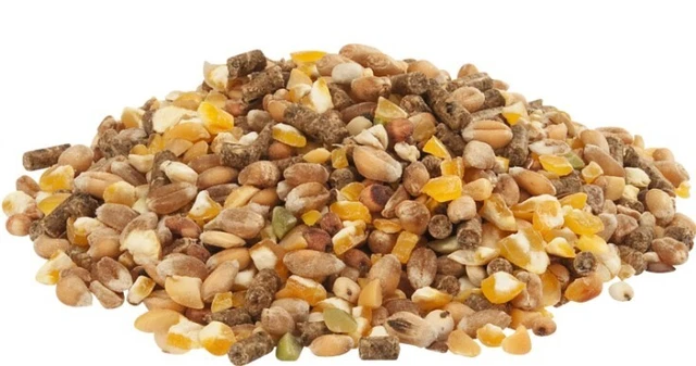Versele-Laga Country's Best Gold 4 Mix 20kg - A Complete Feed For Laying Hens