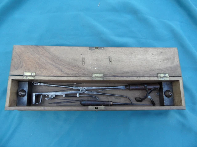 Speculum Dentaire équin Réglable - Outil Vétérinaire Cheval - Acier Inoxydable