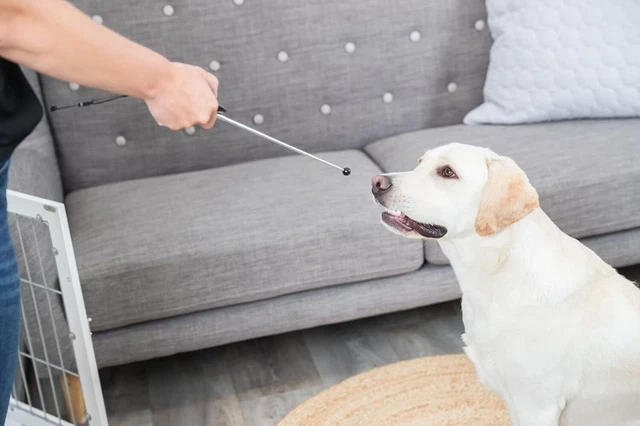 Trixie Target Stick, Assorted Color retractable from 14â 65 cm 2