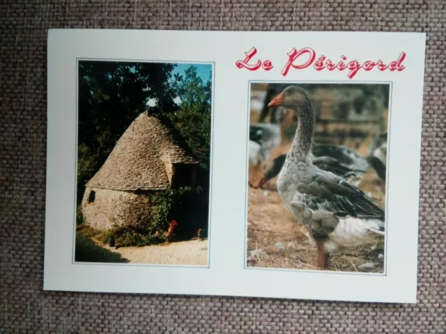 Cpsm Cpm 24 The Picturesque Perigord Different Views
