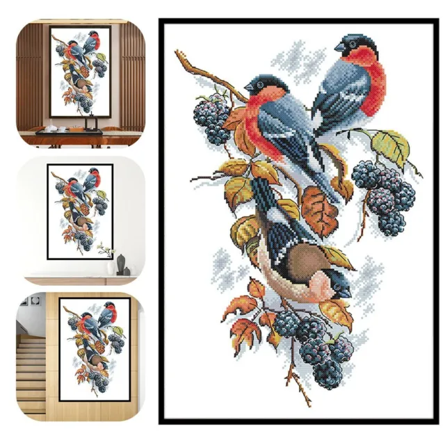 Red Bellies Magpies Cross Stitch Kit Beautify Your Home with Handmade Art