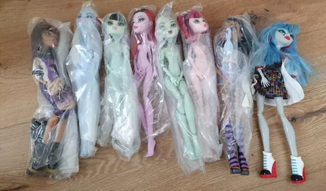 Monster High Puppen Konvolut 8 Stück für Bastler