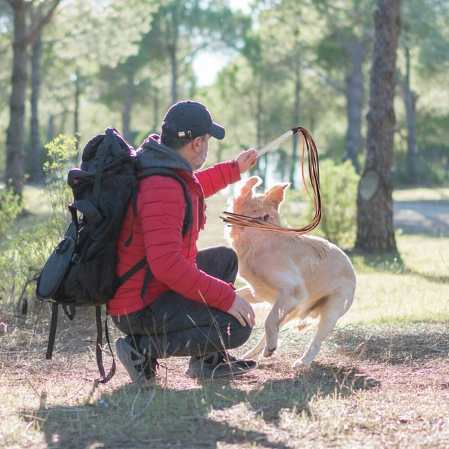 Pet Interaktive Spielzeug Ausbildung Hund Pol Pferd Peitsche Ernte