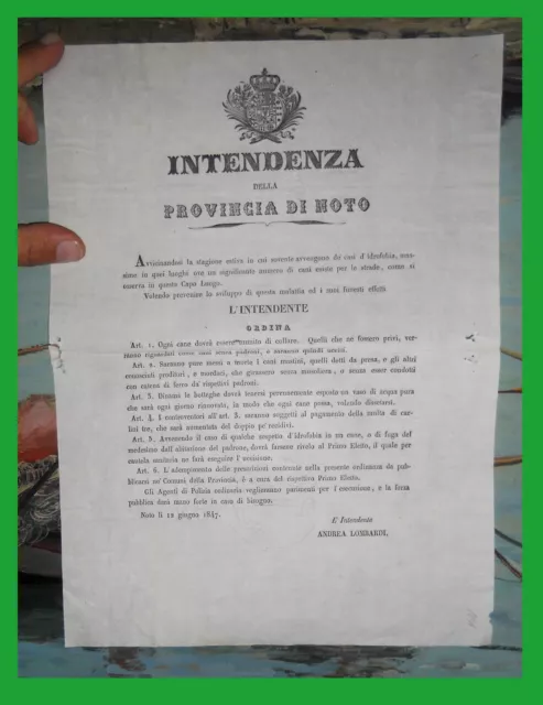 Regno delle Due Sicilie EDITTO MANIFESTO COL REGOLAMENTO SUI CANI - SICILIA 1847 Regno delle Due Sicilie EDITTO MANIFESTO COL REGOLAMENTO SUI CANI - SICILIA 1847