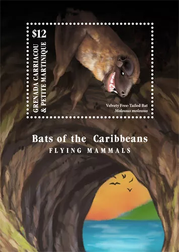 Grenadines 2017 - Bats of the Caribbean - Souvenir Stamp Sheet - MNH