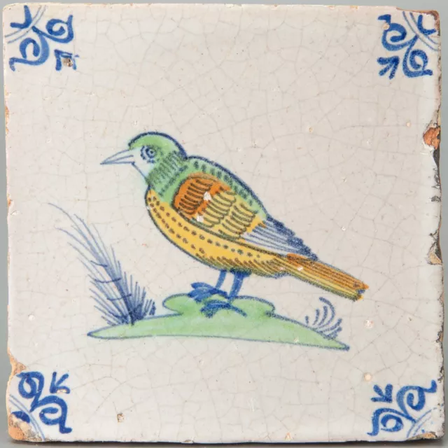 Nice Dutch Delft polychrome tile, bird, 17th. century.