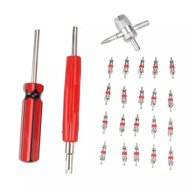 fr Dual Single Head Valve Core Remover+20pcs Valve Core+4-Way Tire Remover Tool