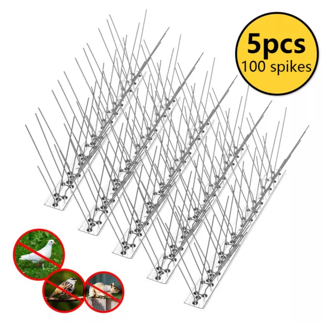 Bird Spikes Stainless Steel Bird Repellent Arrow Pigeon Fence Kit 100 Spikes