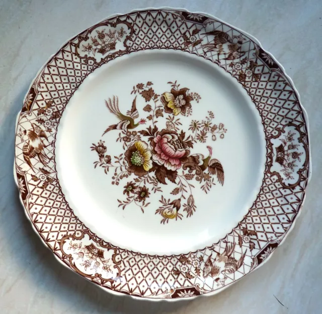 Lovely, Masons Ironstone-Princess  -Dinner Plate - no damage  25 cm