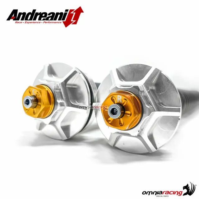 Andreani Misano Evo adjustable hydraulic cartridges for forks FASTACE 37 2
