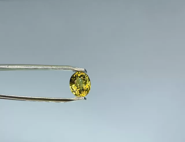Grossular Mali Garnet 1.20 Carat Fancy Yellow Vvs Untreated Rare Gemstone Africa 2