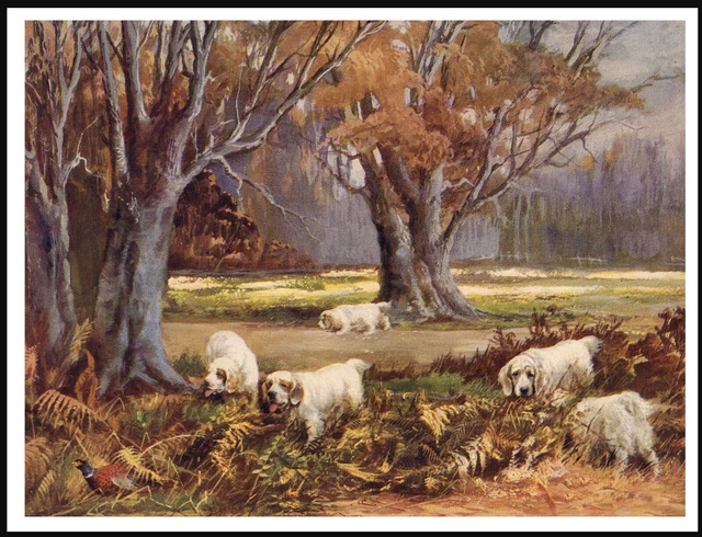 Clumber Spaniel Dogs At Work  Vintage Style Dog Art Print Poster