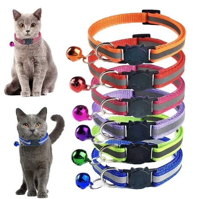 Collare colorato animale domestico con campana che riflette il colletto gattino cucciolo