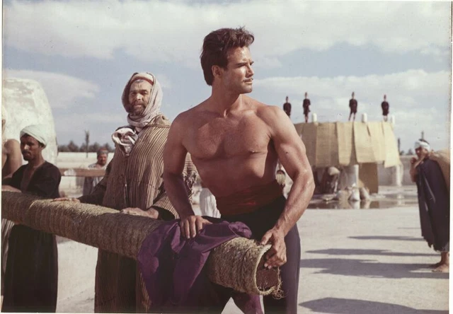 STEVE REEVES BARECHESTED Muscoli Bodybuilder Ladro Di Baghdad Orig ...