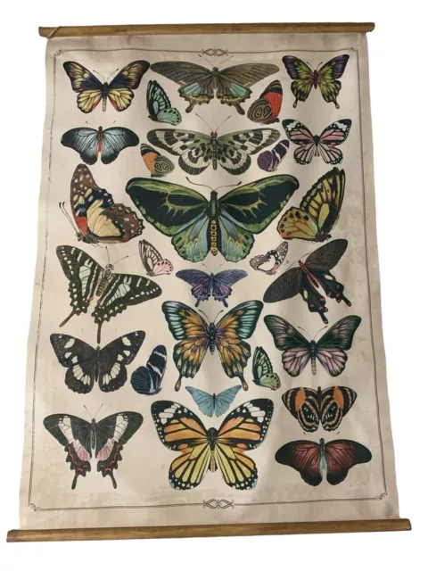 Butterfly Burlap Wood Canvas Scroll Wall Decor 29"x42" DA9259 Creative Co-Op