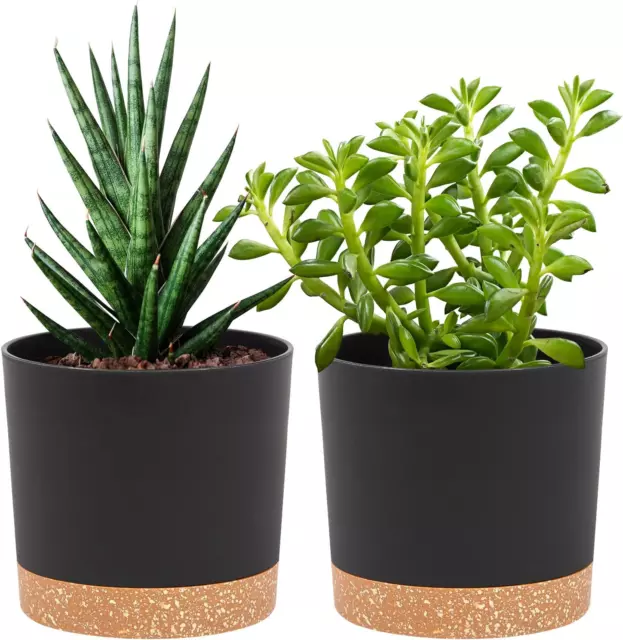 2-Pack QCQHDU 12cm Plant Pots with Drainage Holes & Removable Base - Dark Grey