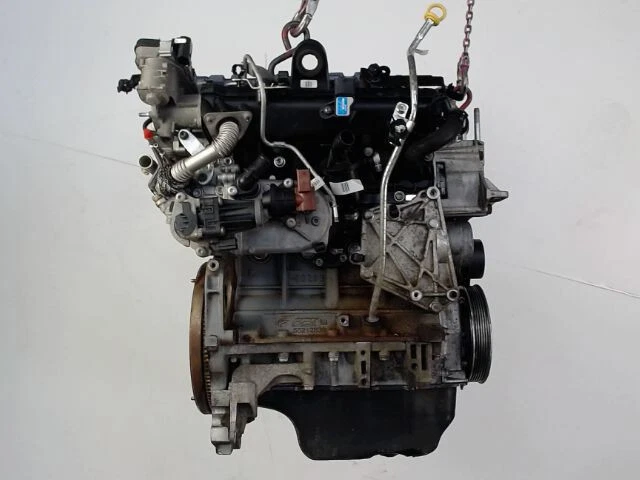 🇫🇷 MEILLEURE OFFRE  ➤ MOTEUR DIESEL FORD KA II 2008-... 1.3 TDCi