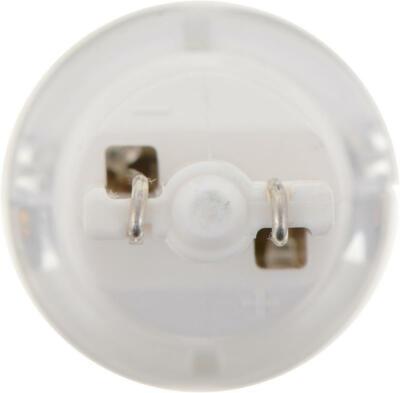 light bulb boy price light bulb boy price