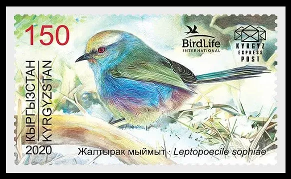 163. Kirghizistan 2020 Tampon Oiseau Vie, Mésange Warbler. MNH