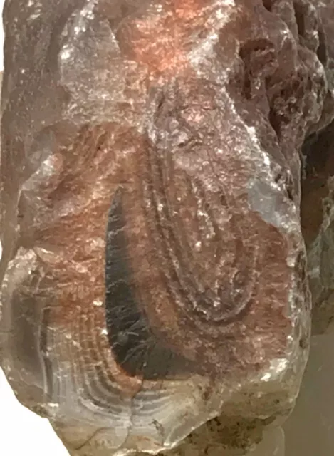 Botswana banded agate lapidary nodule 12.6 oz (360 grams)