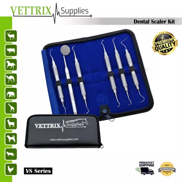 Dental Scaler-Explorer-Probe-Mirror- Kit of 6pcs Veterinary Dental Instruments,