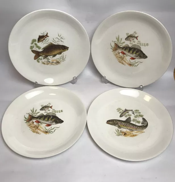 Antique Crown Devon Fieldings Fish Plates Perch Carp Made In England