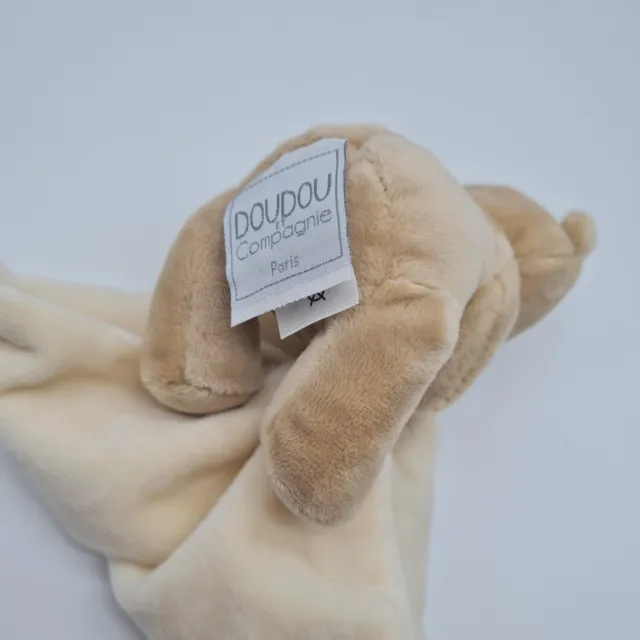50 - Doudou Doudou et Compagnie ours marron mouchoir blanc beige NEUF 3