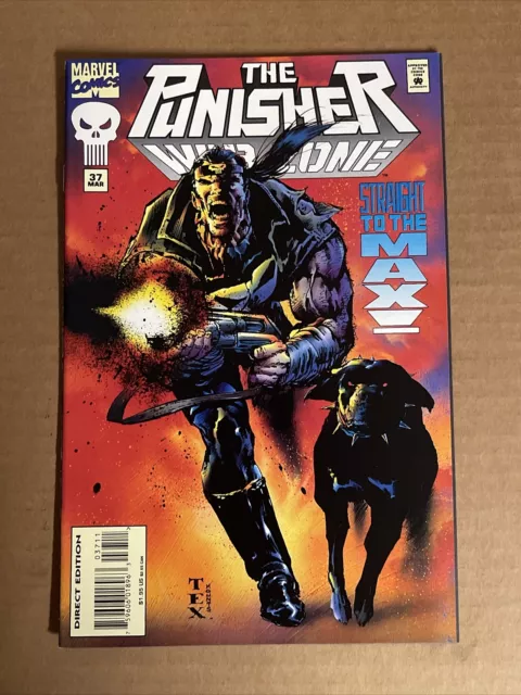 Punisher War Zone #37 First Print Marvel Comics (1995) Texeira