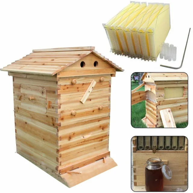Wooden Beekeeping Beehive House +7PCS Upgraded Auto Honey Bee comb Hive Frame AU