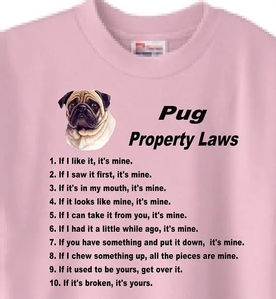Dog T Shirt Mew Women -  Pug Property Laws ----Also Sweatshirt Available