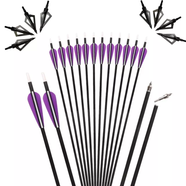 12pc Archery 30.7" Carbon Arrows SP350 / Broadheads Compound Recurve Bow Hunting