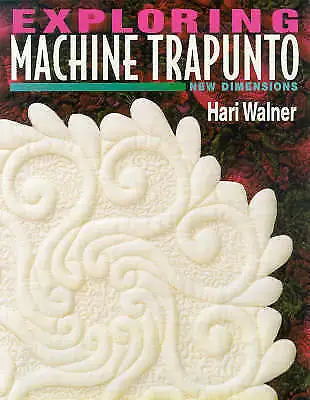 Erkundungsmaschine Trapunto: Neue Dimensionen von Hari Walner (Taschenbuch, 1999)