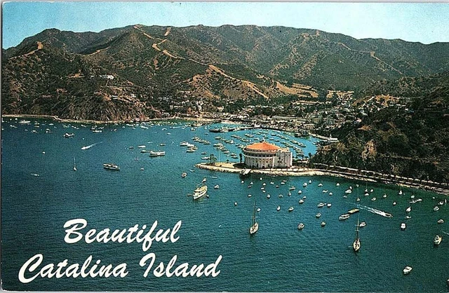 Postcard AERIAL VIEW SCENE Catalina Island California CA AJ4623