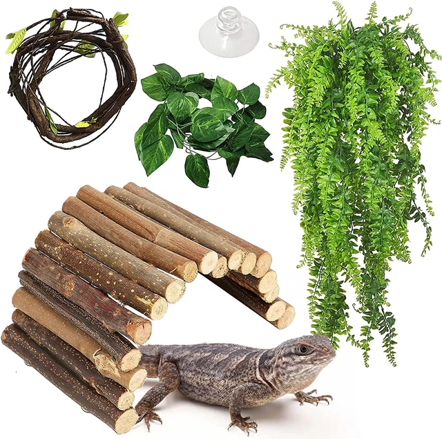 Hamiledyi Reptile Hideout Wooden Bridge Hiding Hut 4Pack Bearded Dragon Hide Cav