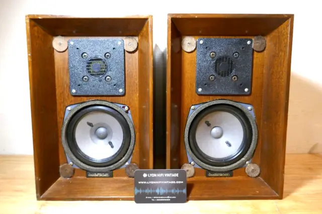 Paire D'enceintes Haut Parleur Dudognon Asd 12X / Vintage Speakers