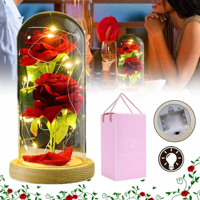 Beauty and the Beast Rose LED Forever Rose Lamp Eternal Flower in Glass Dome UK