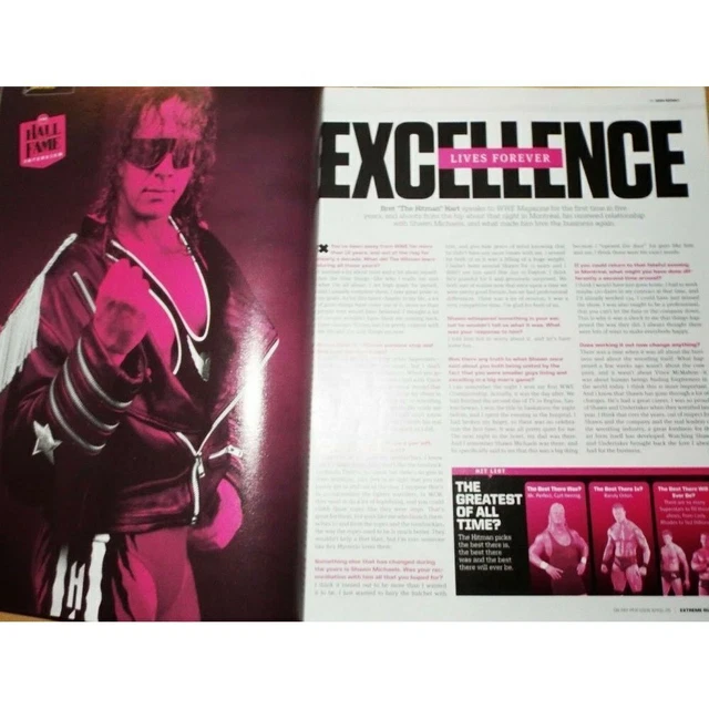 TRIPLE H WWE 3/26 wrestlemania XXVI MICKIE JAMES POSTER shawn michael ...